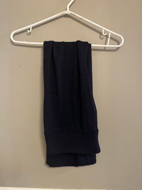 Wilfred Free Navy Knit Midi Skirt